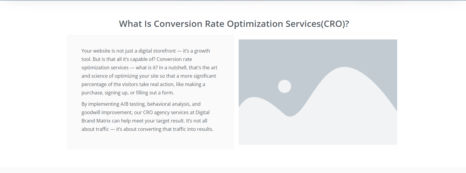 CRO Service Image 2