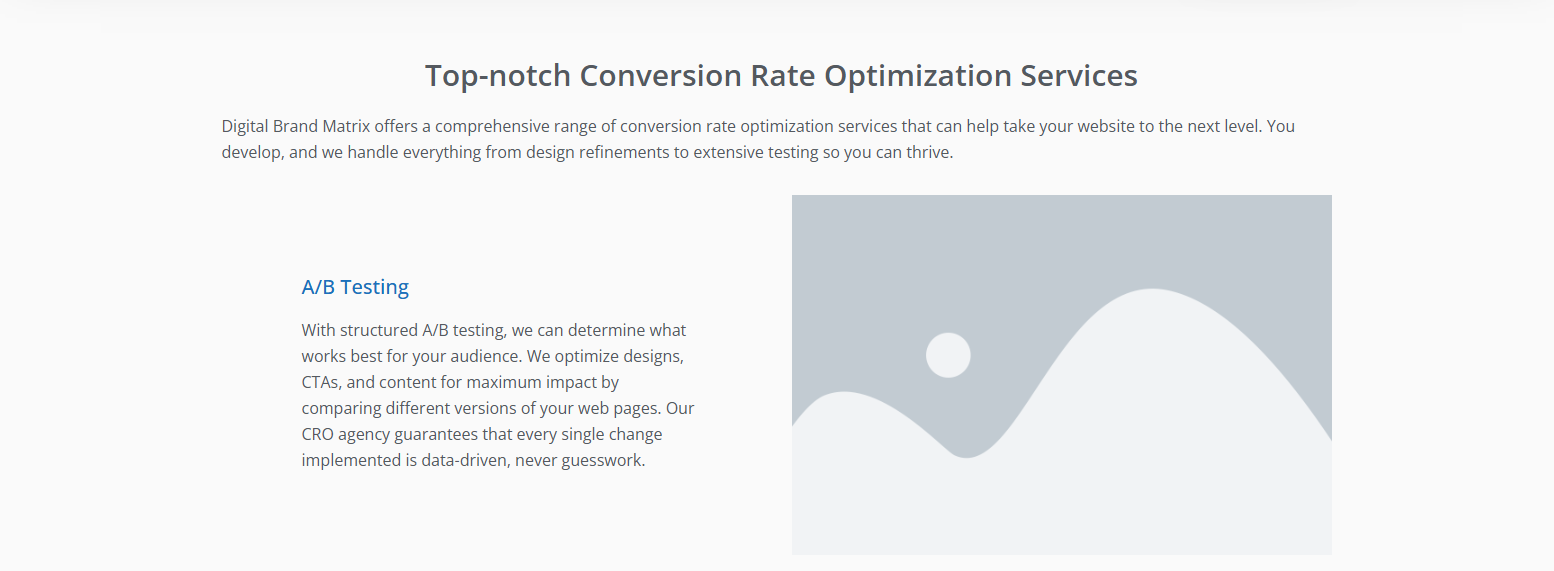 CRO Service Image 5