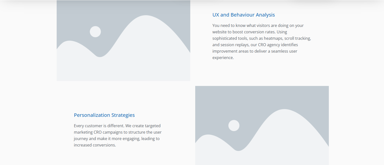 CRO Service Image 6
